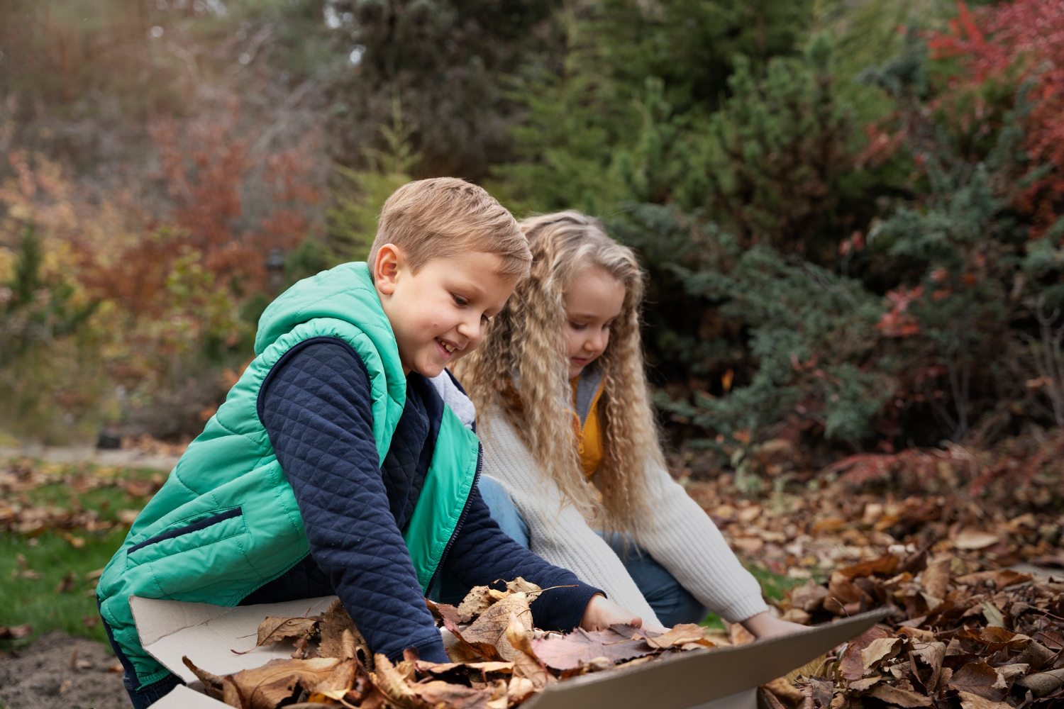 Educación en la naturaleza